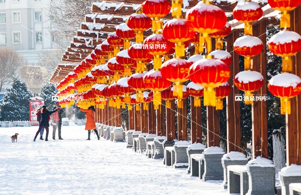 瑞雪兆丰年