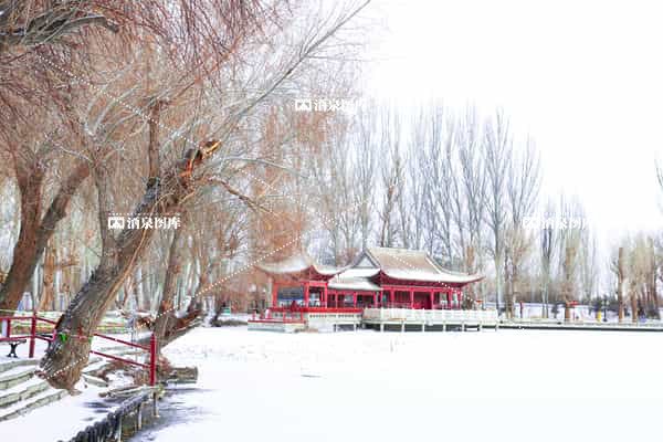 公园雪景