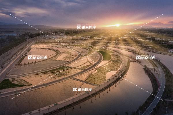 夕阳下的湿地公园