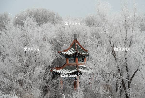 金塔鸳鸯池雾凇
