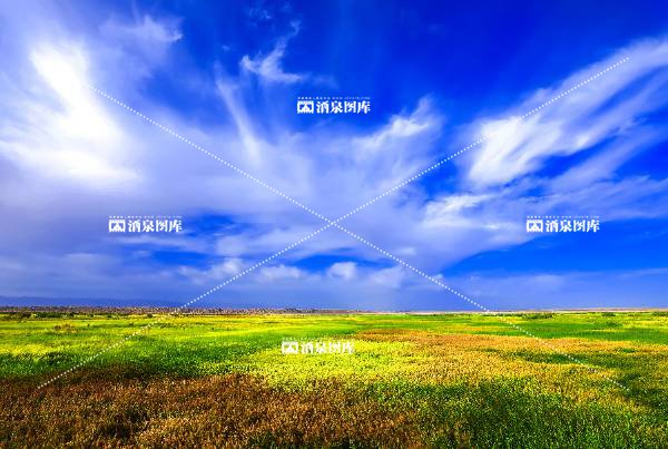 黄谷驿彩色湿地