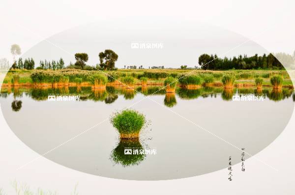 川原秋色静 芦苇晚风鸣