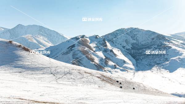 肃北鱼儿红雪景