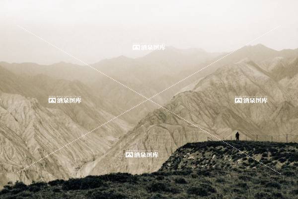 祁连山末支——青稞地