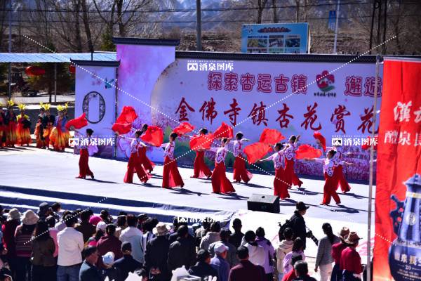 《杏花节风采》