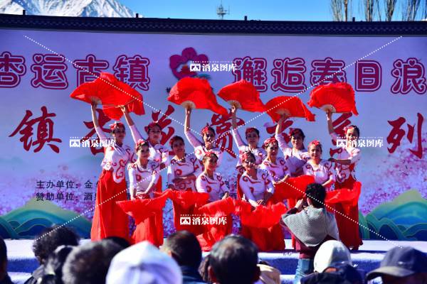 《杏花节风姿》