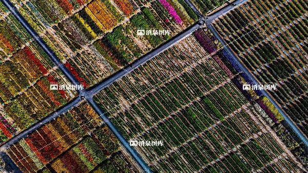 五彩农业
