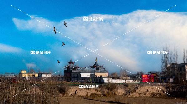 魏家湾的口子窖酒