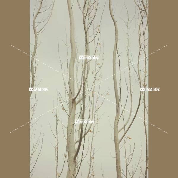 折枝——小画意