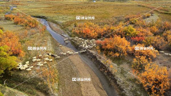 石油河赤金西湖湿地秋韵（一）