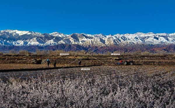 祁连山下播种忙