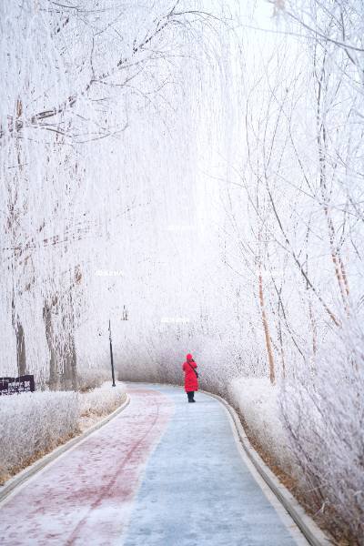 雪径红裳