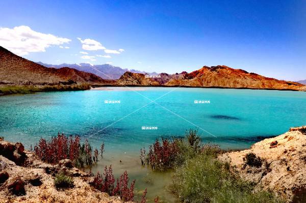 鱼儿红牧场天池