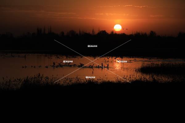 花园水库的暖阳