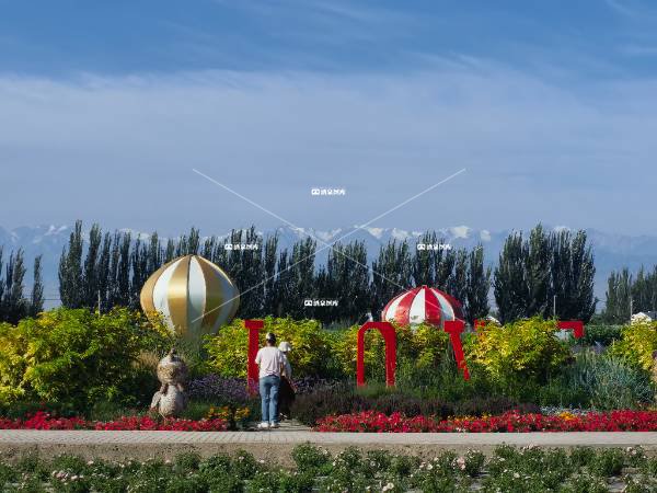 农科种子培育基地