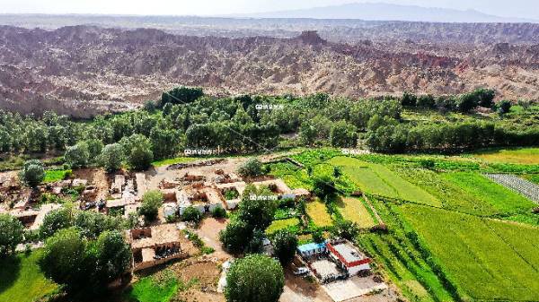 玫瑰沟之魅（三）