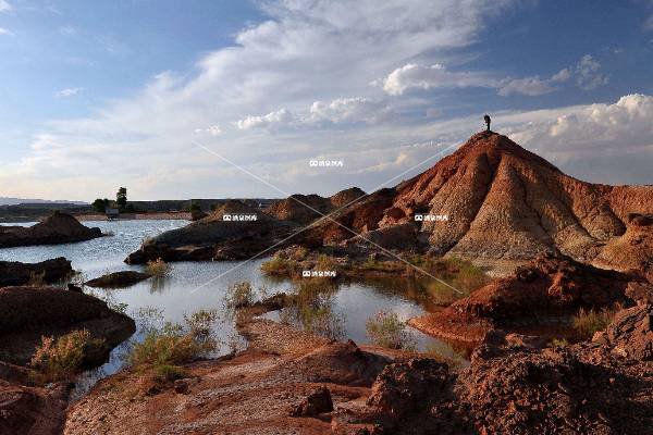 玫瑰沟之魅（五）