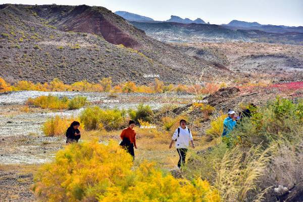 玫瑰沟之魅*（六）
