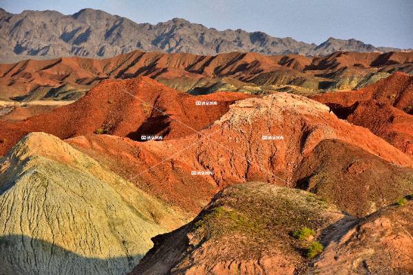 玫瑰沟之魅（八）