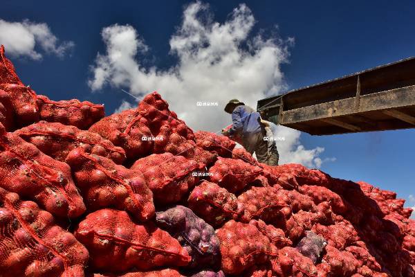 欲与天公试比高