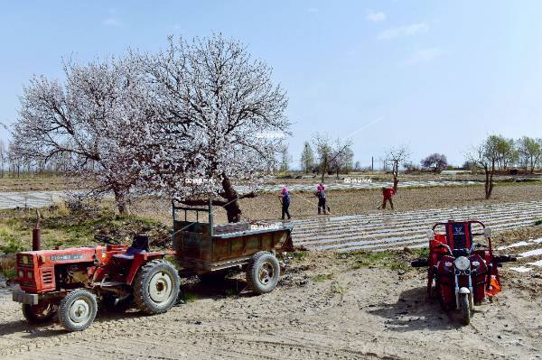 一年四季在于春