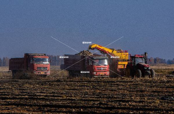 ​​丰收的接力