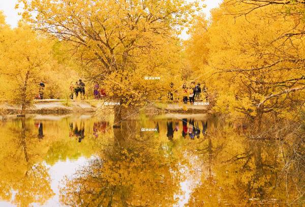 金波照影游人醉