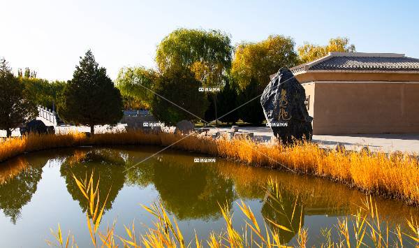 张芝公园——墨池