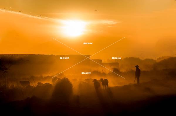 夕阳下的牧羊人+李爱华+