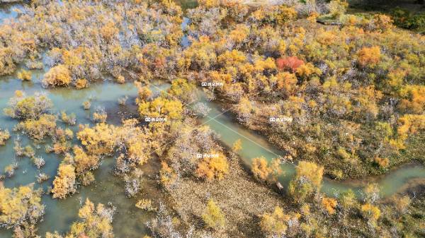 玉门赤金峡风光（一）