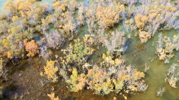 玉门赤金峡风光（五）