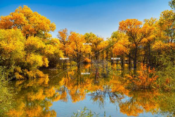 湖光秋色入镜来